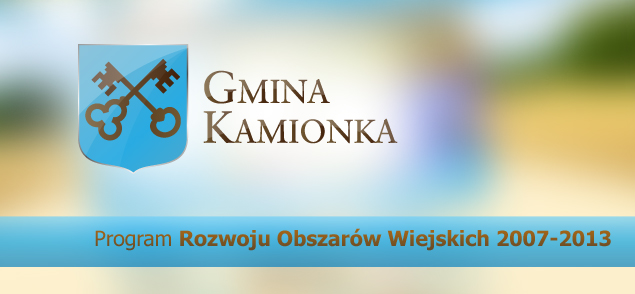 INFORMACJA DOTYCZĄCA REALIZACJI PROJEKTU