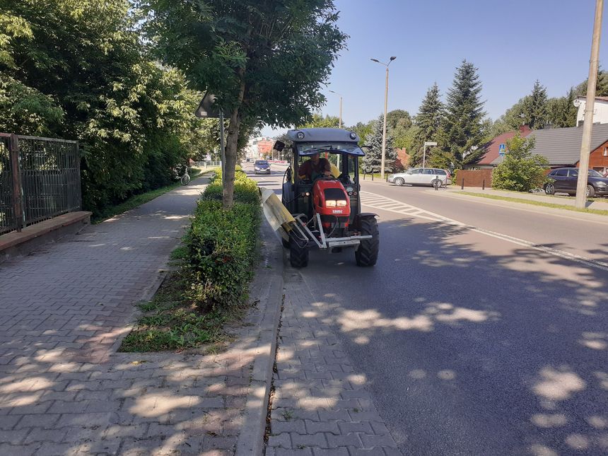 komar