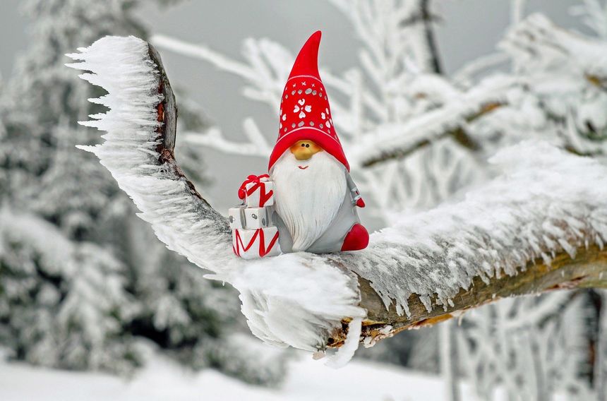 Mikołaj siedzący na osnieżonej gałęzi