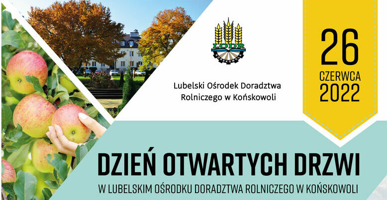 plakat LODR