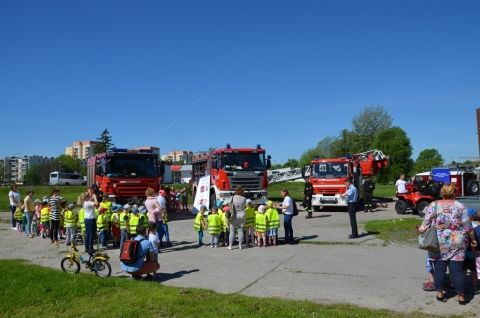 Uczestnicy pokazów