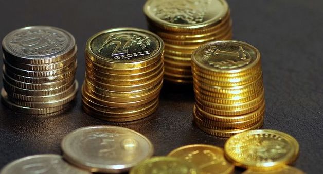 Wykadrowana grafika przedstawiająca polskie monety
