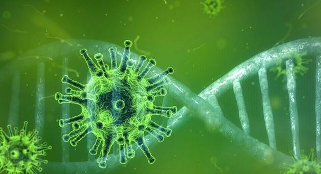 Wirus i DNA