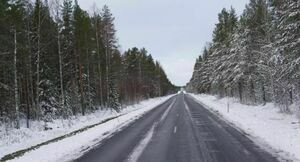 Asfaltowa droga przebiegająca przez zimowy las, z drzewami częściowo pokrytymi śniegiem pod białym niebem.
