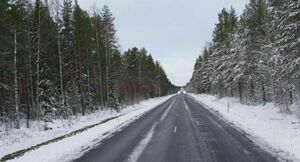 Droga przechodząca przez zalesiony teren z drzewami częściowo pokrytymi śniegiem, znaki drogowe po lewej stronie, niebo zachmurzone.