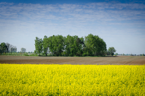 Kolonia Bystrzyca