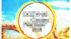 Dożynki Gminy Niemce 2018 już w tę niedzielę w Jakubowicach Konińskich