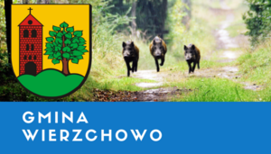 Gmina Wierzchowo - baza noclegowa