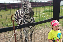 Zoo w Wojciechowie
