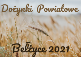 napis na tle zdjęcia pola pszenicy Dożynki Powiatowe Bełżyce 2021