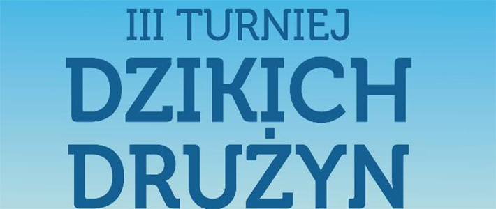 III Turniej Dzikich Drużyn - przypomnienie