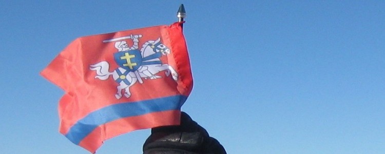 Flaga Powiatu Puławskiego na dachu Europy