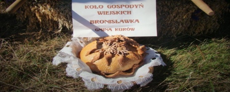 KGW Bronisławka zdobyło na Dożynkach Wojewódzkich w Radawcu 2016 wyróżnienie w kategorii wieniec tradycyjny. Gratulujemy!