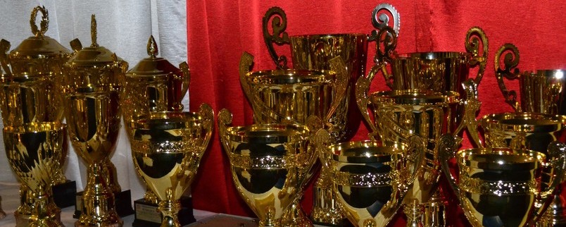 VI miejsce dla Powiatu Puławskiego we Współzawodnictwie Sportowym Szkół 2016/2017