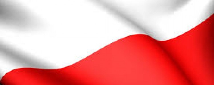 UCHWALA NR XXXVII/318/2018  RADY POWIATU PUŁAWSKIEGO z dnia 14 lutego 2018 r. 