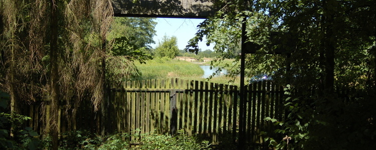 Ogłoszenie Starosty Puławskiego 