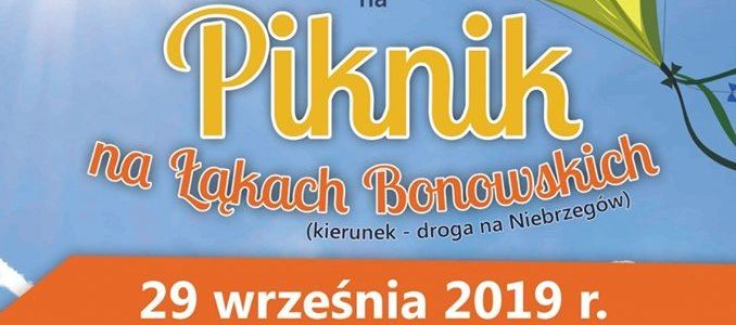 Piknik na Łąkach Bonowskich