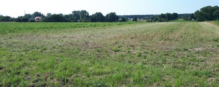 Przetargi ustne nieograniczone na sprzedaż prawa własności niezabudowanych nieruchomości położonych w Żyrzynie