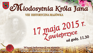 VIII Historyczna Majówka