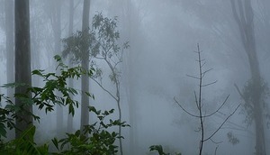 Ostrzeżenie o silnych mgłach 