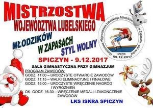 Mistrzostwa województwa lubelskiego młodzików w zapasach