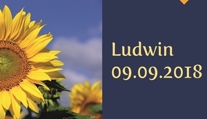 Dożynki powiatowo-gminne w Ludwinie
