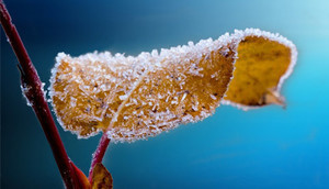 OSTRZEŻENIA METEOROLOGICZNE ZBIORCZO NR 30