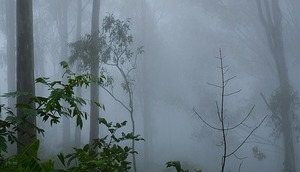 Komunikat meteorologiczny z godz. 10:16 dnia 23.10.2019