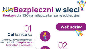 Wykadrowana część plakatu NieBezpieczni w sieci – konkurs dla NGO na najlepszą kampanię edukacyjną