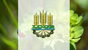 Pismo Dyrektora Lubelskiego Ośrodka Doradztwa Rolniczego w Końskowoli