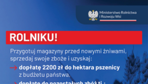 Kawałek plakatu