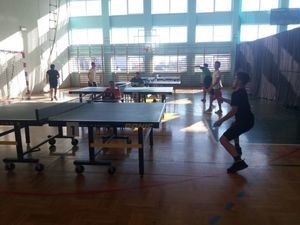 Zawody w tenisa stołowego w Zespole Szkół w Kamionce
