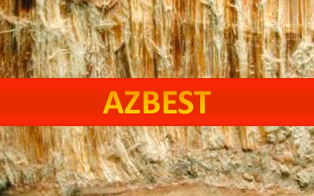 Ogłoszenie - Termin przyjmowania wniosków o dofinansowanie wykonania prac w roku 2008 - AZBEST
