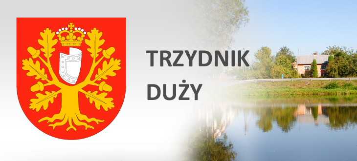 Oferta realizacji zadania publicznego 