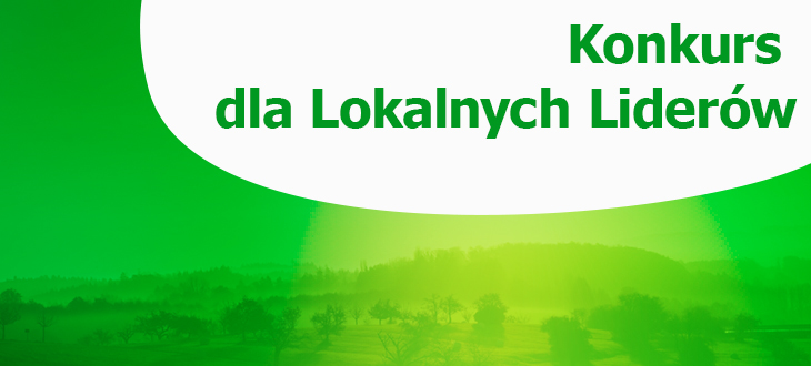 Konkurs dla Lokalnych Liderów