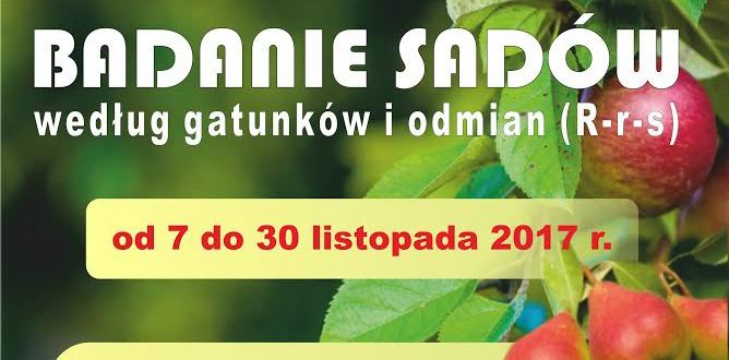 Badanie sadów według gatunków i odmian
