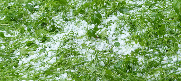 Grafika z napisem Ostrzeżenie meteorologiczne