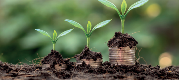 Trzy rośliny o różnych rozmiarach rosną na stosach monety, symbolizujące wzrost i inwestycje finansowe, na tle rozmytej zieleni.
