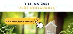 Zamarznięta gałąź