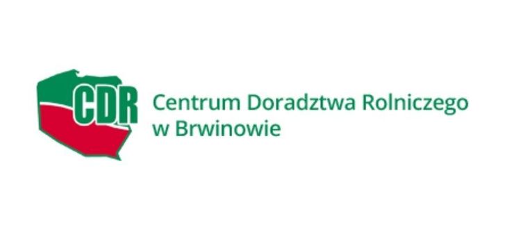 Zdjęcie Artykułu