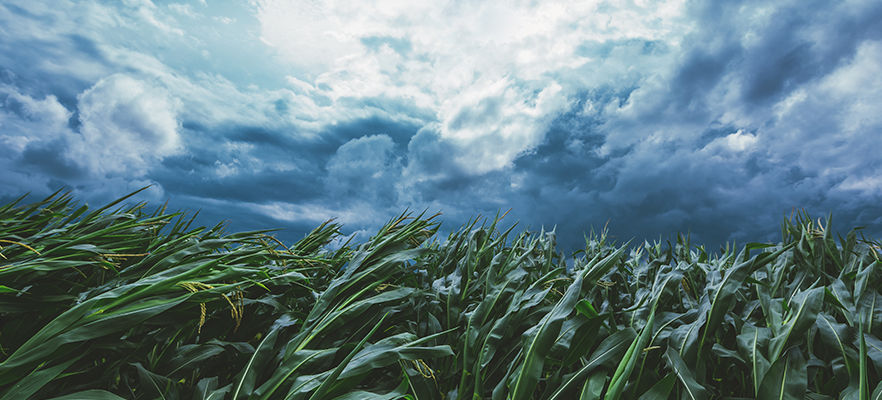 Ostrzeżenie meteorologiczne Nr 1