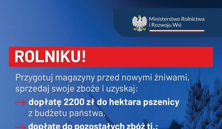 Zdjęcie Artykułu