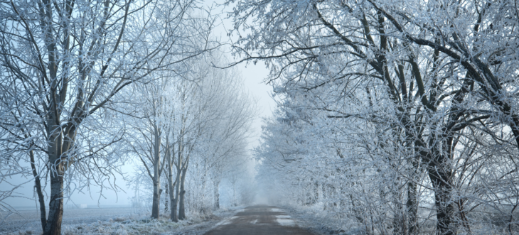 Ostrzeżenie meteorologiczne Nr 80 - Opady Marznące