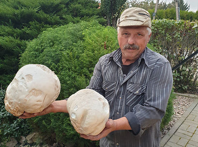 Taaakie grzyby…. tylko w Kalnie