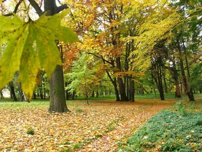 Park w Żarowie