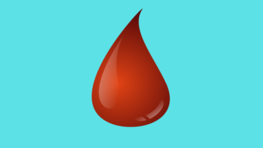 Podsumowanie akcji poboru krwi w Zespole Szkół w Kamionce