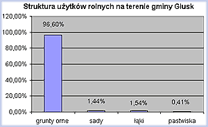 Struktura użytkowania gruntów miasta i gminy Głusk