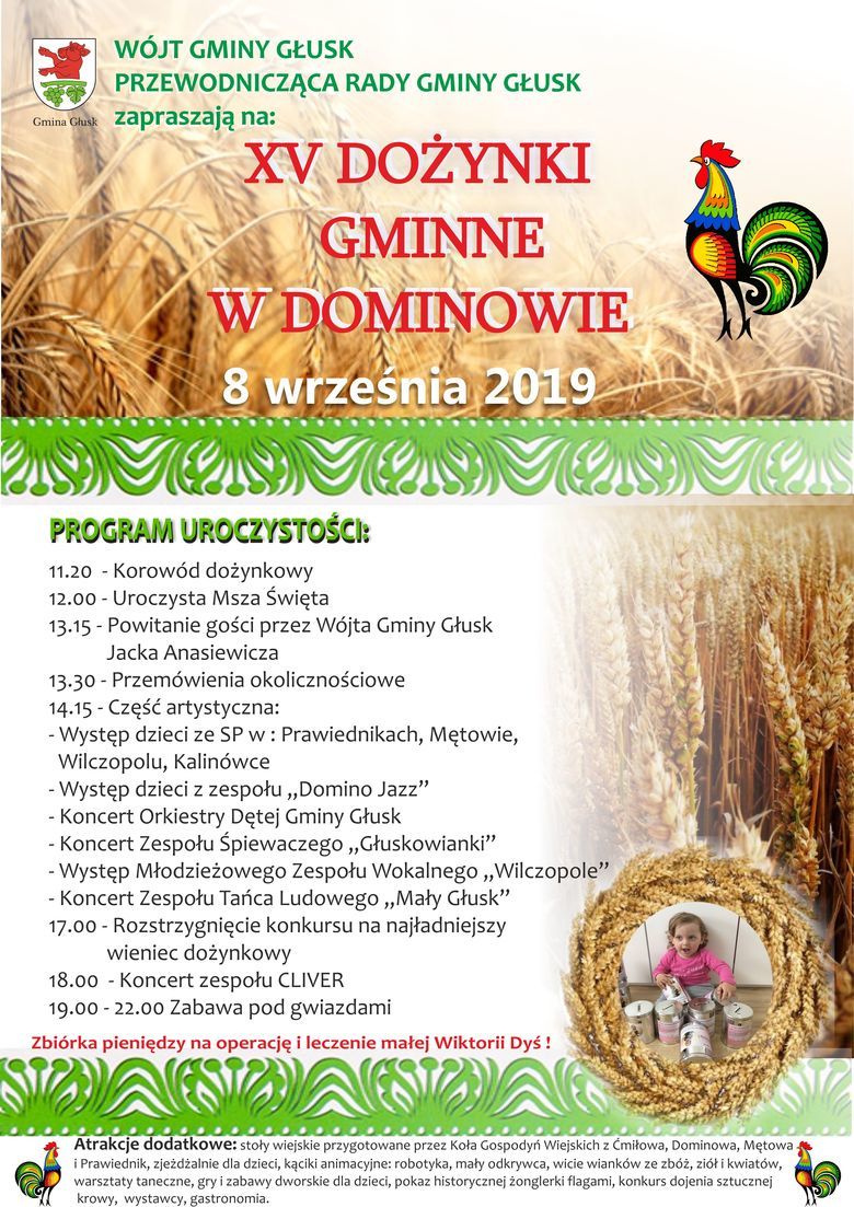 XV DOŻYNKI GMINNE W DOMINOWIE