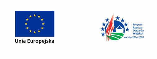logotypy dofinansowania
