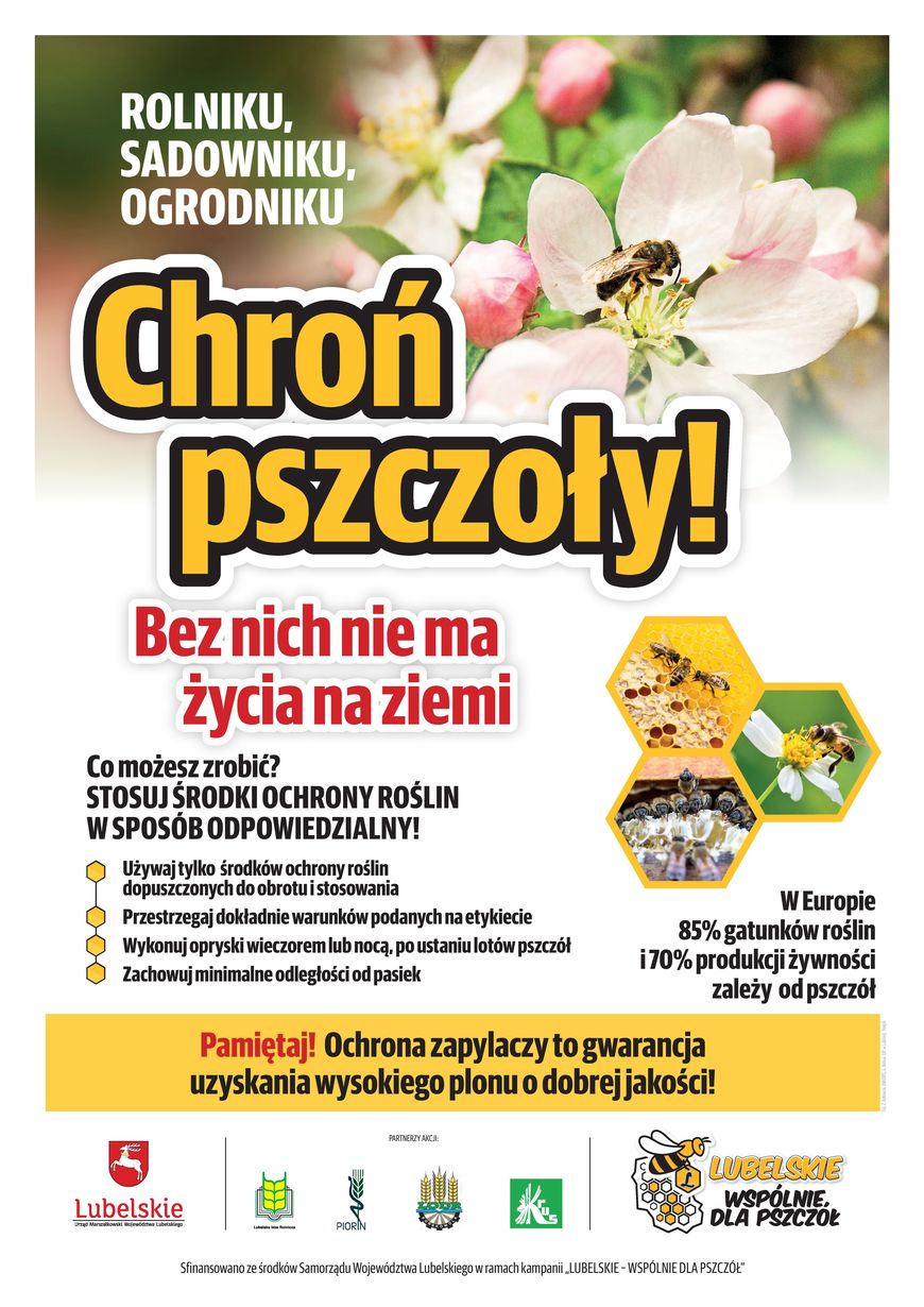 Plakat - Chroń pszczoły